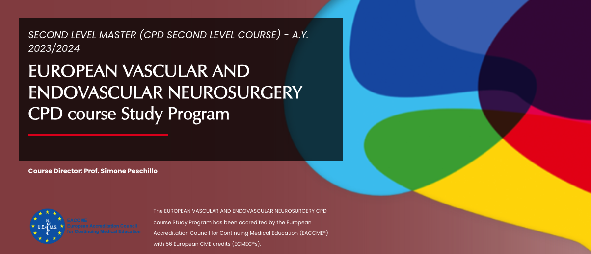 EUROPEAN VASCULAR AND ENDOVASCULAR NEUROSURGERY