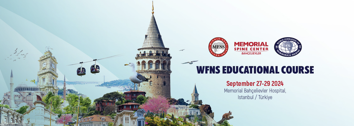 WFNS Educational Course, Istanbul